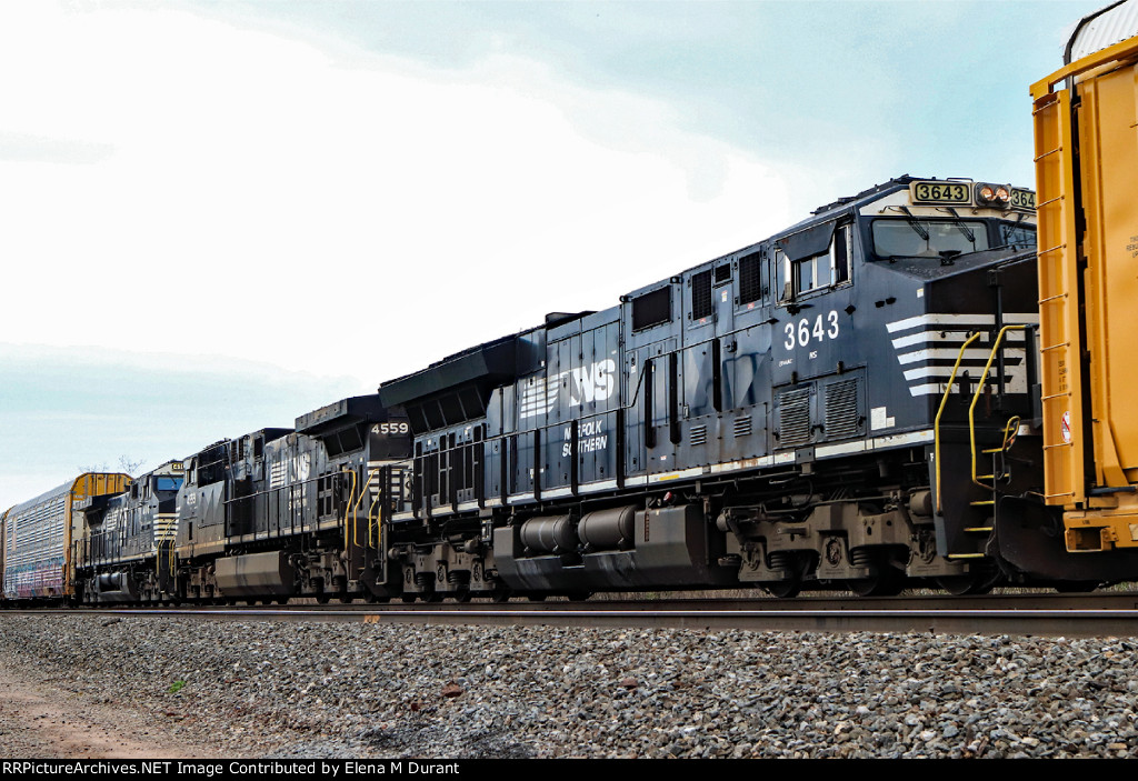 NS 3643